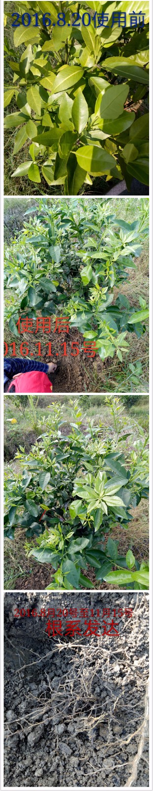 1492732977124069.jpg 1492732977124069.jpg