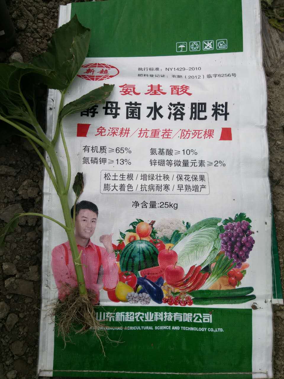 1497254216644443.jpg 1497254216644443.jpg