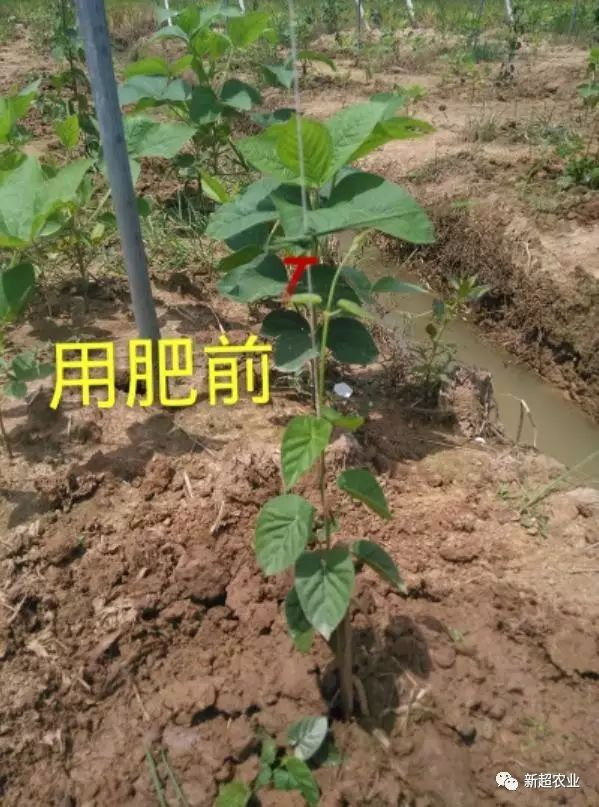 1521330988128811.png blob.png