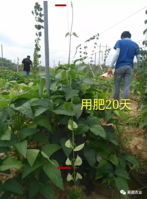 1521331018762523.png blob.png