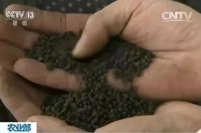 1538471382972138.jpg 1.jpg