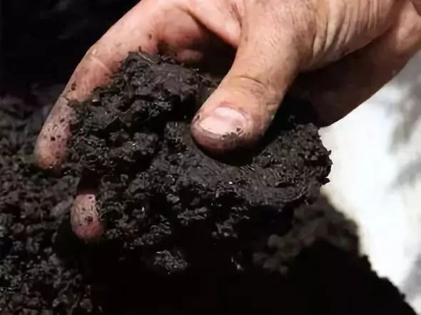 1538471641930028.jpg 2.jpg