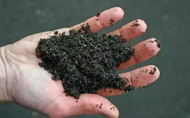 1538471696766356.jpg 3.jpg