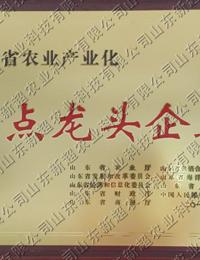 重點龍頭企業(yè)